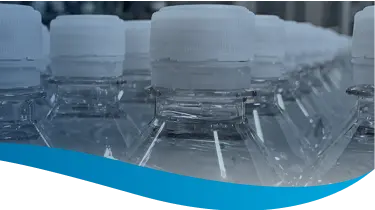 close up of caps on bottled water in rows
